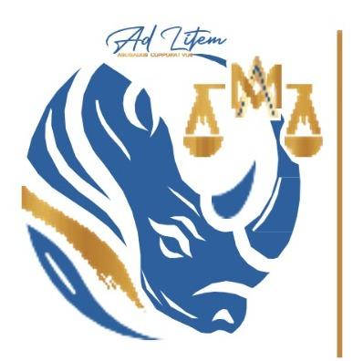 Ad Litem